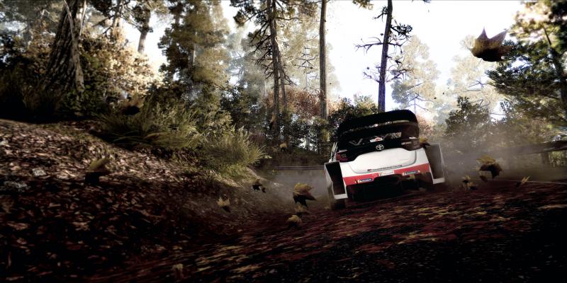 WRC 9 - Next-gen (Foto: Nacon)