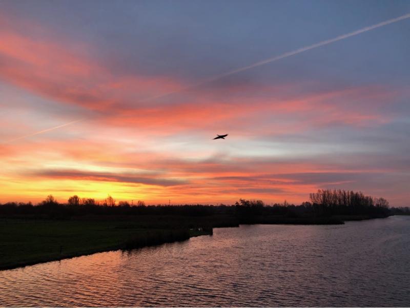 Gisteren een molen bij Westzaan. Vandaag dezelfde plek, maar dan zonder de molen..  (Foto: Charged)