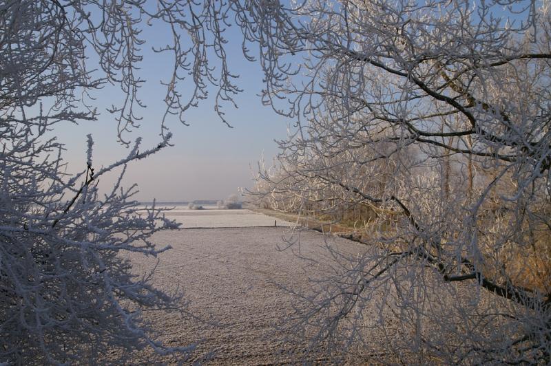 Winterse perikelen op Schouwen  (Foto: Scherpschutter)