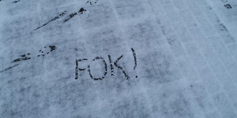 Eerste sneeuw gevallen in Nederland (Foto: DJMO)