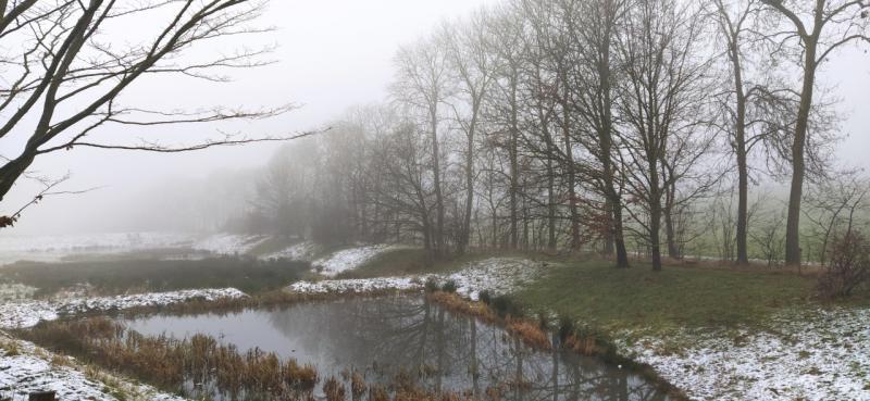 Sneeuw en mist in het Limburgse Heuvelland