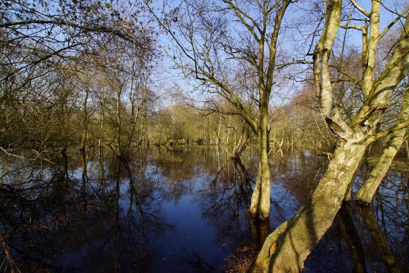 Smeltwater, het eind van de kou (Foto: Scherpschutter)