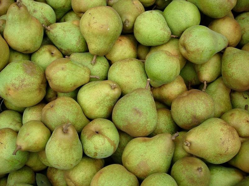 Het nutteloze feitje van de dag: appels met peren vergelijken (WikiCommons/Snoop at Dutch Wikipedia)