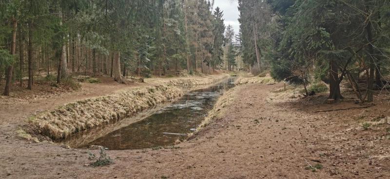 Het is mooi wandelen tussen Hilversum en Baarn (Foto: DJMO)