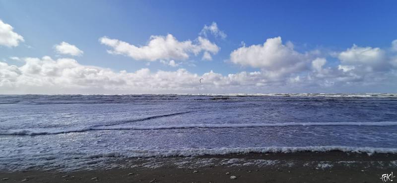 Eenzame surfer trotseert de golven in Egmond aan Zee  (Foto: FOK!)