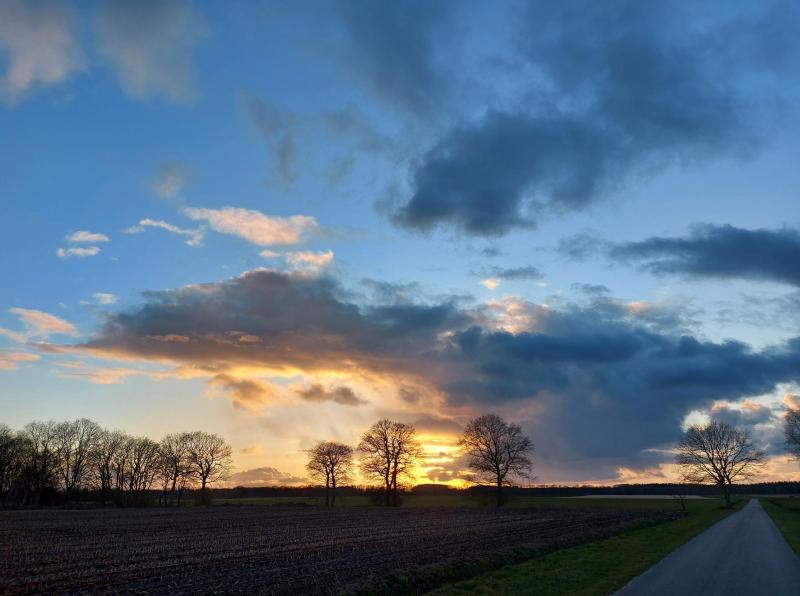 Pukeko was in Elp (Drenthe)  (Foto: Pukeko )