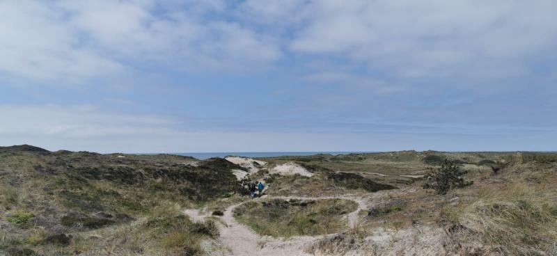 De duinen in Schoorl, waar het overwegend bewolkt was vanmiddag (Foto: DJMO)