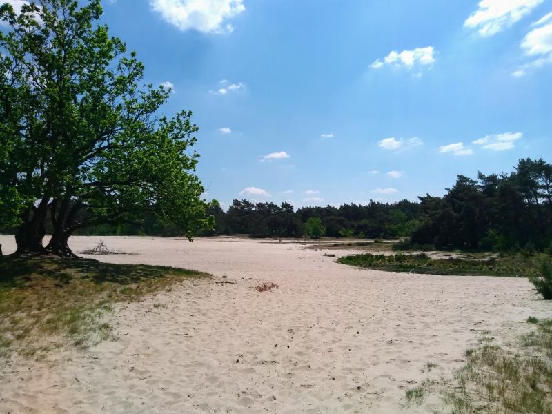 Warm met een klein wolkje in de Loose duinen (Foto: Kroezel)