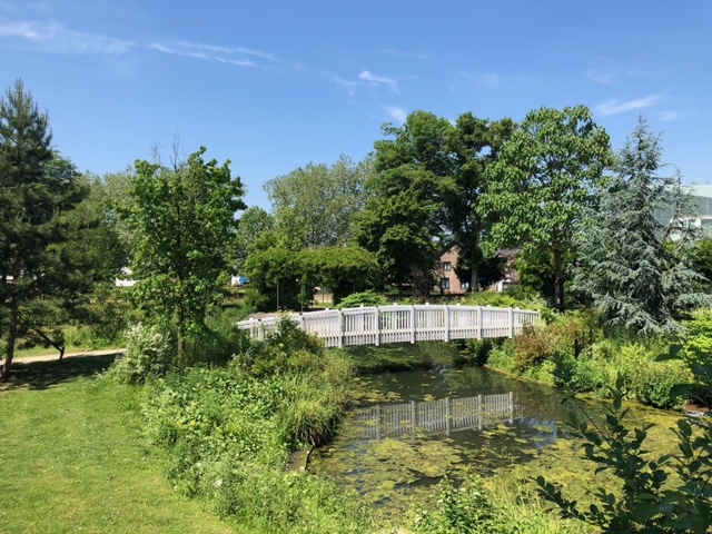 Is het geen plaatje? Gemaakt in Meerssen (Foto: Charged)