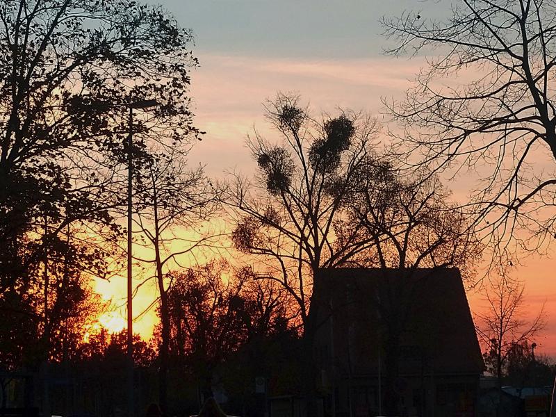 Zonsondergang vanuit Berlijn (Foto: Vriend van qltel)