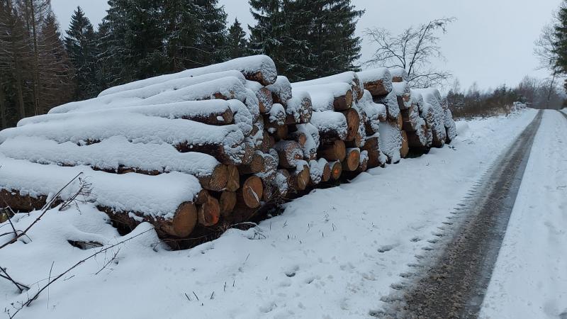 In het Sauerland was er wel sneeuw. Zoals je op deze foto kunt zien (Foto: qltel)