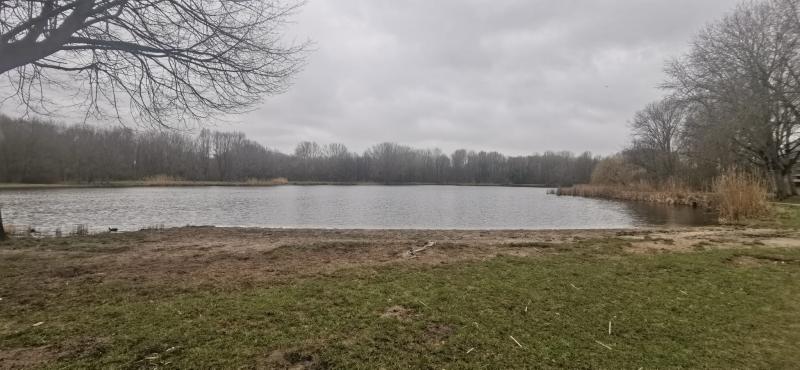 Grijze lucht boven het Schollebos in Capelle a/d Ijssel. (Foto: DJMO)