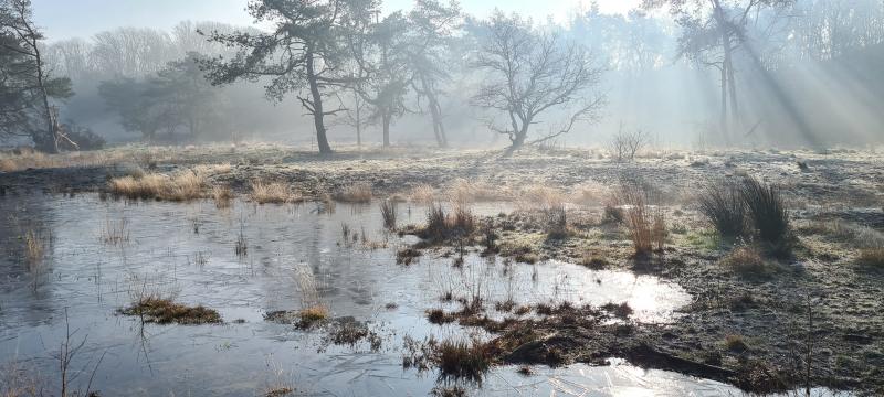 Prachtige landschapsfoto in Uden (Foto: Storm666)