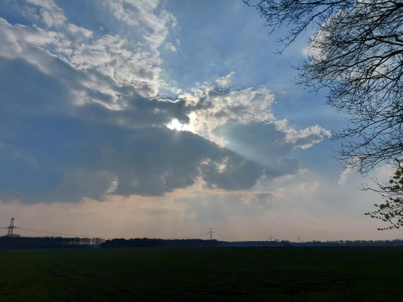 P{ukeko genoot van de dag, al kwam er later meer bewolking in de omgeving van Westerbork (Foto: Pukeko)