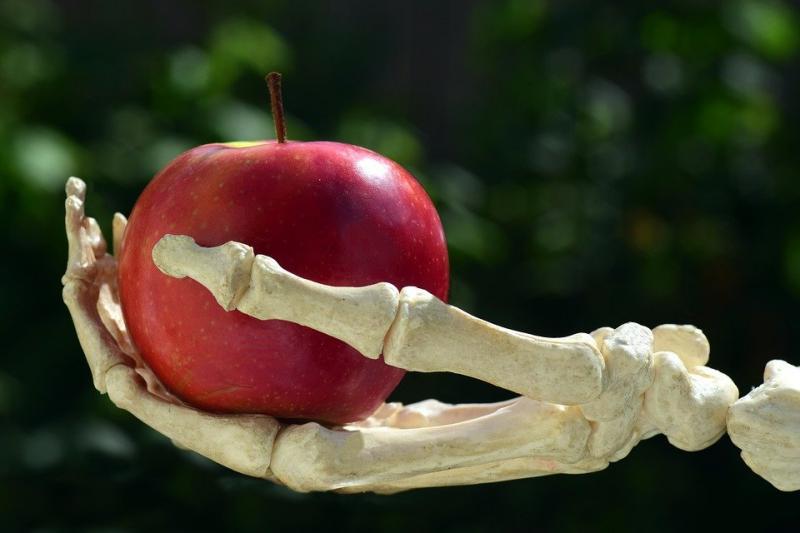 Mogelijk schadelijke pesticiden op fruit  ( Foto: Pixabay)