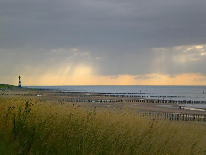 Westerschelde bij Breskens ( foto:Pixabay)