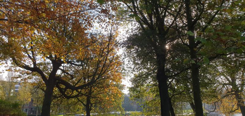 De herfst is goed zichtbaar inmiddels. (Foto: aloa)