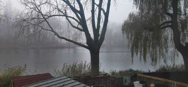 Een mistig begin van de dag in Wormerveer (Foto: DJMO)