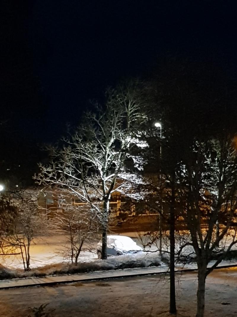 Ook in Purmerend heeft het gesneeuwd vannacht. (Foto: Spylocopa_68)