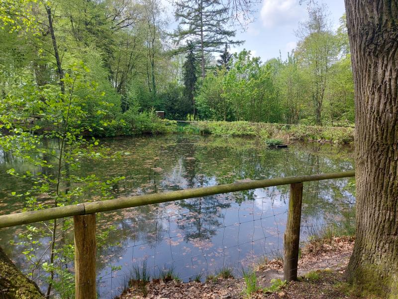 Wederom een mooi plaatje vanuit het Reichswald in Duitsland (Foto: qltel)