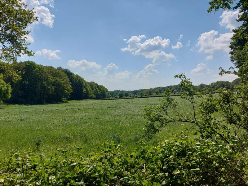 Prachtig weer in Groesbeek (Foto: qltel)