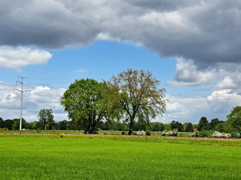 Wolken vormen de boom (Foto: Anouk)