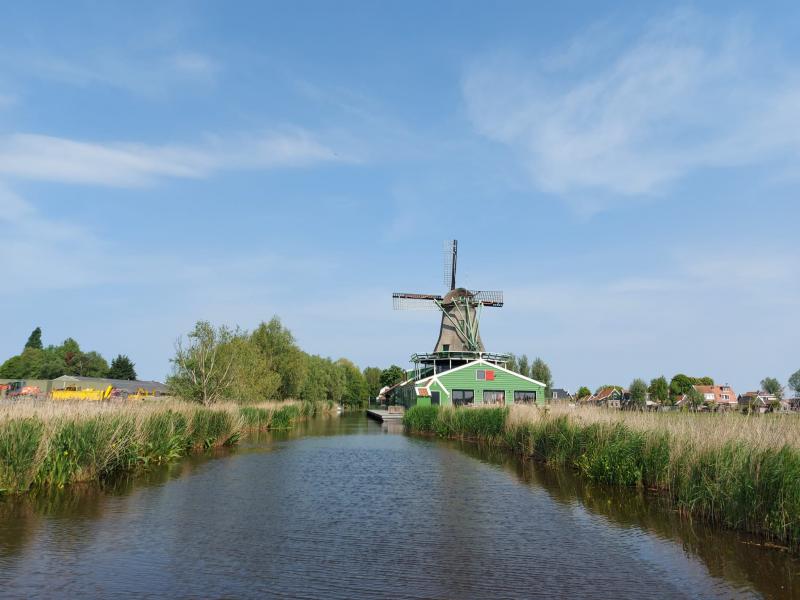De molen i natuurgebied De Reef in Zaandam (Foto: Jippie)