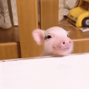 230624_1_gif124_25.gif