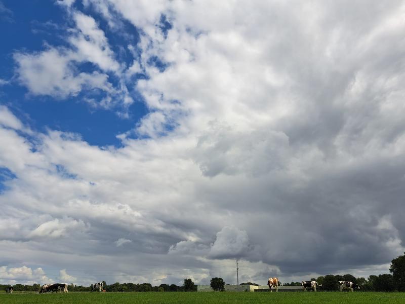 Onrustige wolken nabij Winterswijk. (Foto: Anouk)