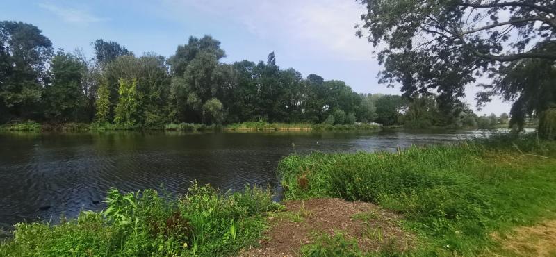 Lichte bewolking boven het water in (ik gok) Wormerveer (Foto: DJMO)