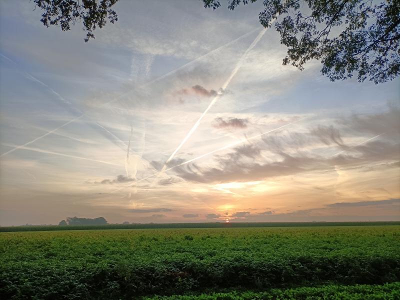 Ochtendgloren in Emmen (Foto: Oppiedoppie)