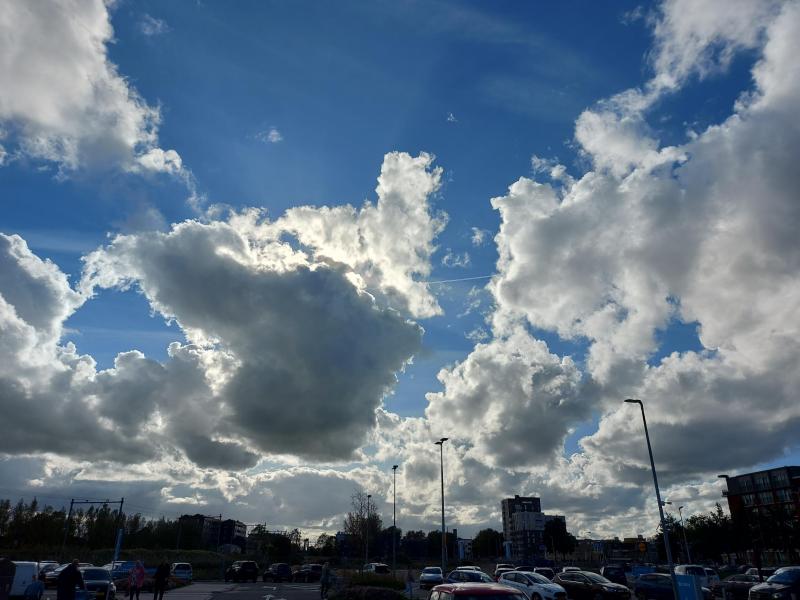 Ondanks de bewolking deed het zonnetje zijn best, ook in Purmerend (Foto: Pukeko)