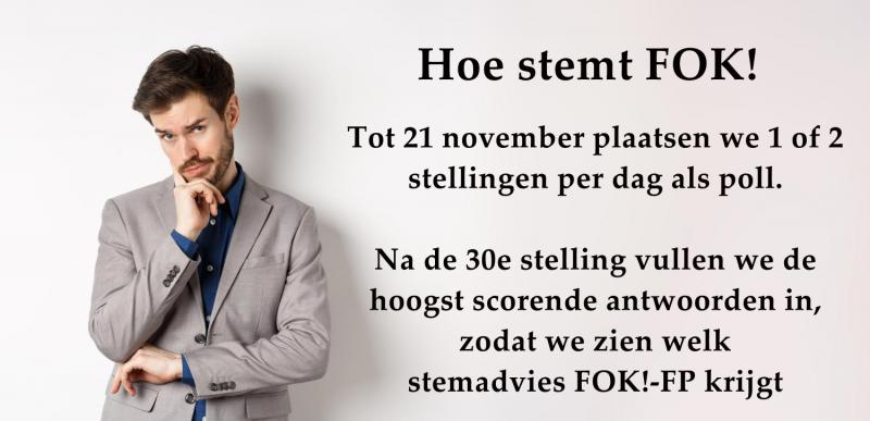 Hoe gaat FOK! stemmen op 22 november?