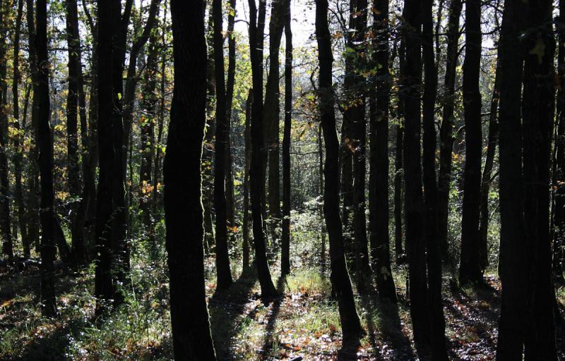 De zon scheen even terug in Lauwersoog (Foto: bondage)