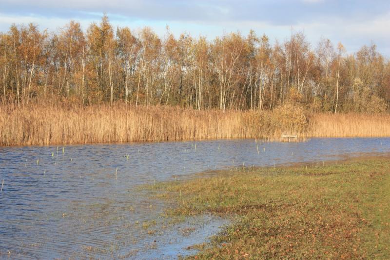 Een van de vele foto&#180;s uit de serie in Lauwersoog (Foto: bondage)