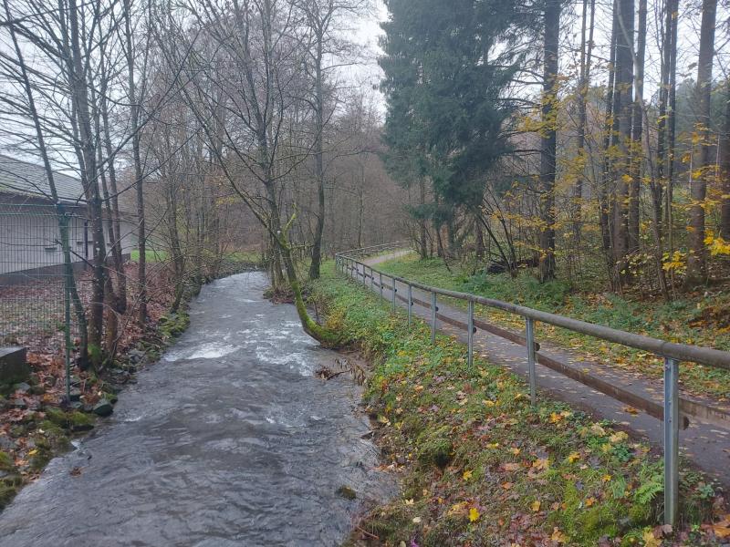 Wandelen door de regen in het Sauerland in Duitsland (Foto: qltel)