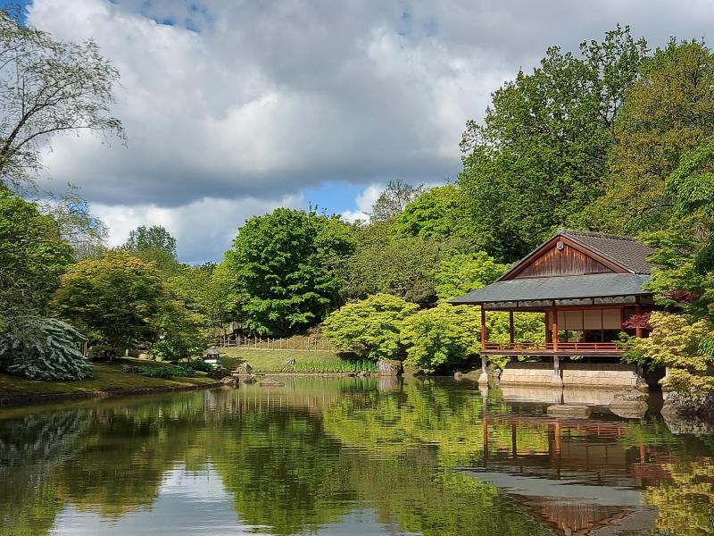 De Japanse tuin in Hasselt (BE) ligt er weer mooi bij (Foto: Pukeko)