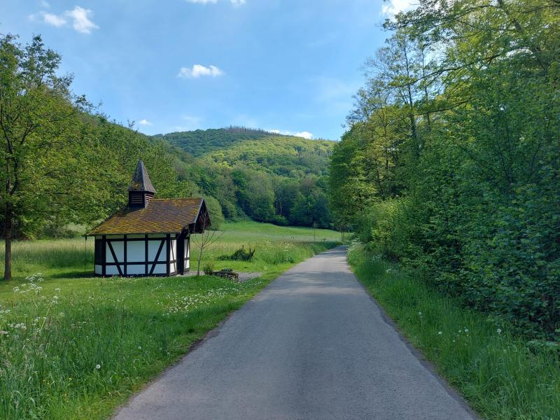 qltel wandelde gister door het mooie Westerwald (D) (Foto: qltel)
