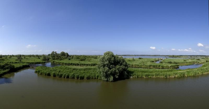 Blauwe lucht boven de Oostvaardersplassen (Foto: Ouwesok)