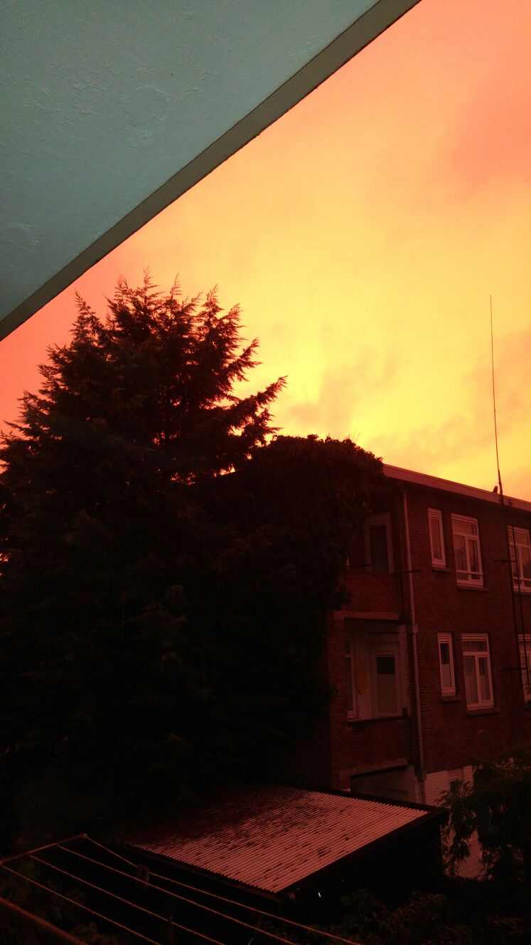 Toepasselijke oranje lucht in de woonwijk (Foto: Fok.nl) Toepasselijke oranje lucht in de woonwijk (Foto: Fok.nl)
