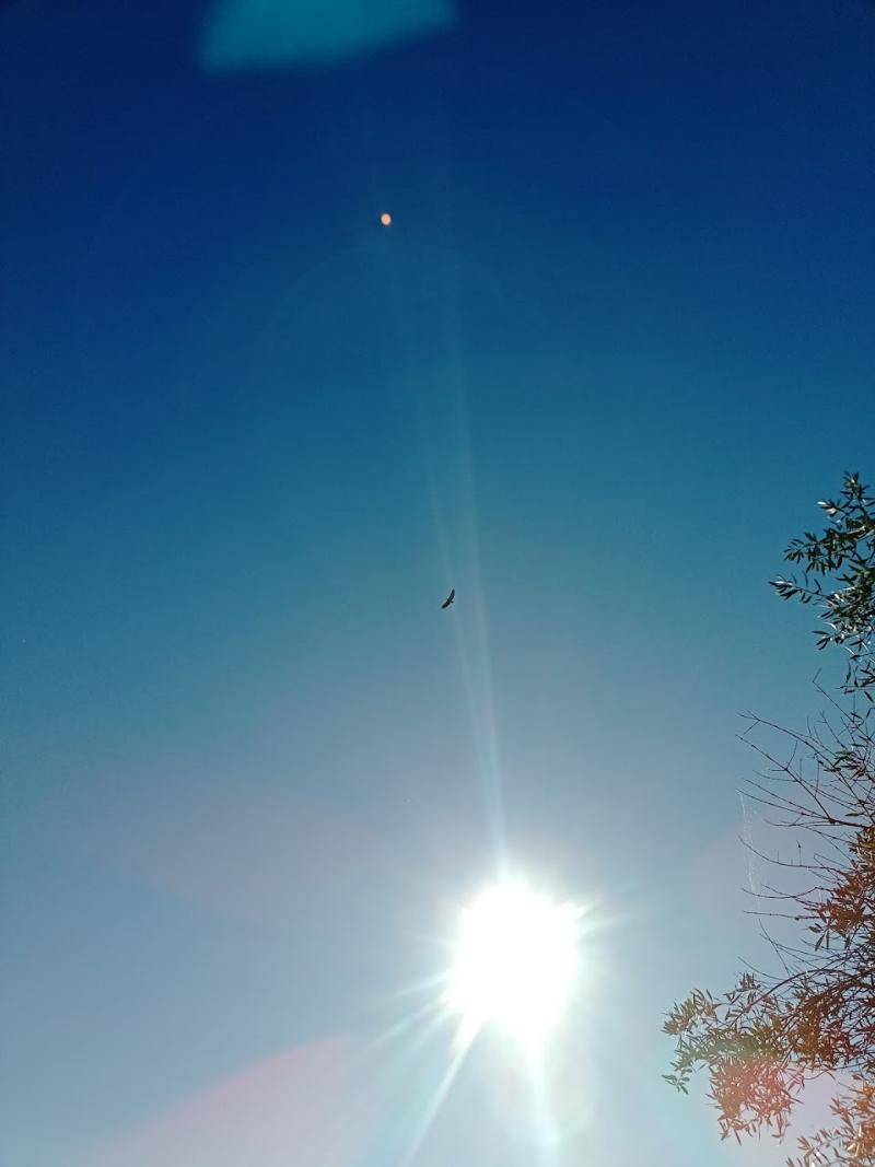 In het zonnige Portugal is een parhelium te zien (Foto: Managarm)