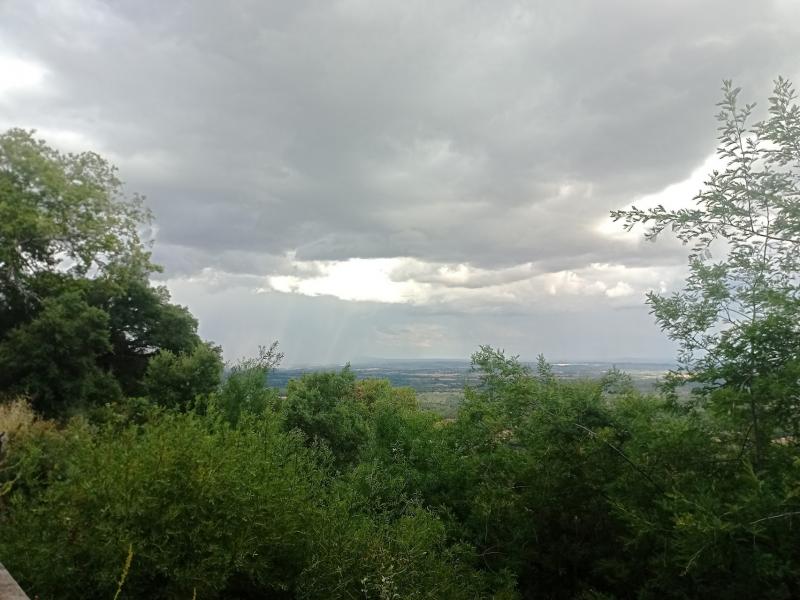 Bewolking en zon bepalen het weertype voor vandaag (Foto: Managarm)