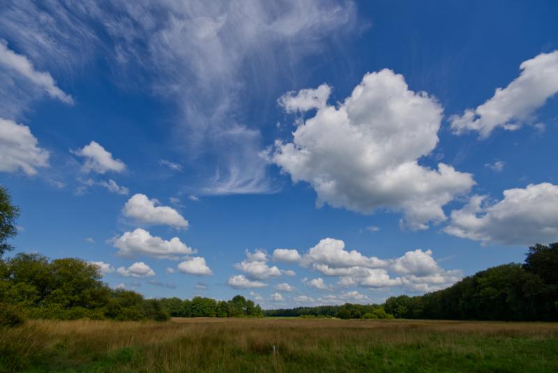 "Fraaie cumuliforme bewolking boven midden Drenthe" (Foto: Ouwesok)