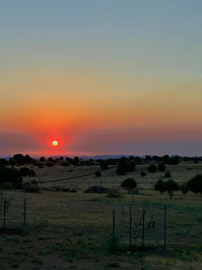 De zon gaat onder in Portugal (Foto: Managarm)