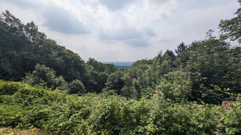 Het zonnetje doet zijn best in Teckelenburg (Foto: DJMO)