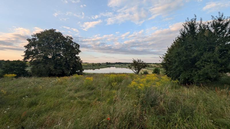 Zomers weer in Falkenhage (D) (Foto: DJMO)