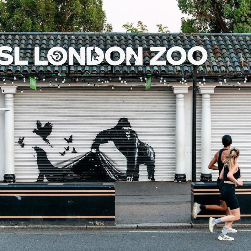 Banksy's kunstwerk bij de London Zoo (bron: X)