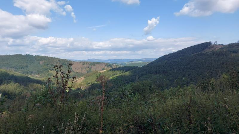 Wandelen in het Sauerland (Foto: qltel)