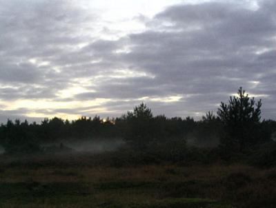 Heide, mistflarden, witte wieven