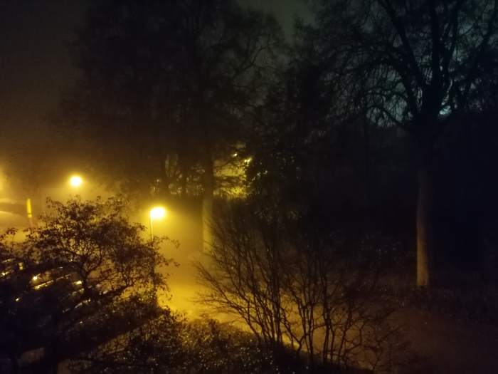 Mist, we hebben het genoeg gezien deze week (Foto: Pinnenmutske)